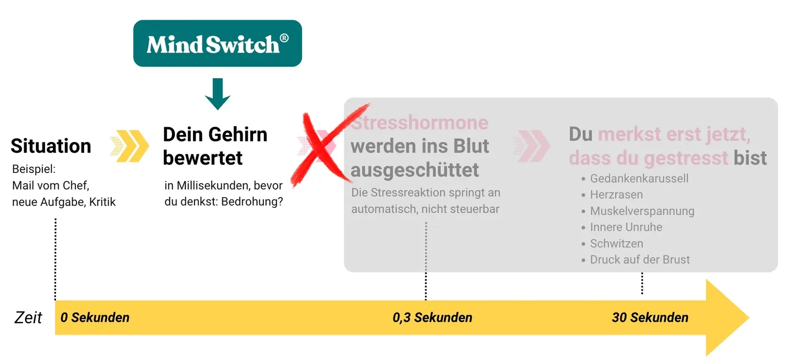 So läuft es mit Mind Switch